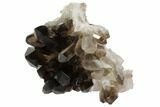 Dark Smoky Quartz Crystal Cluster - Brazil #84850-1